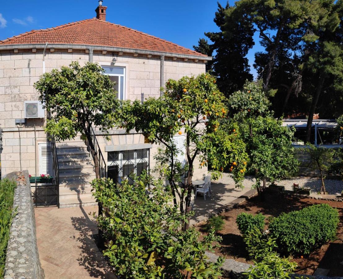 Villa Arancia Dubrovnik Ngoại thất bức ảnh