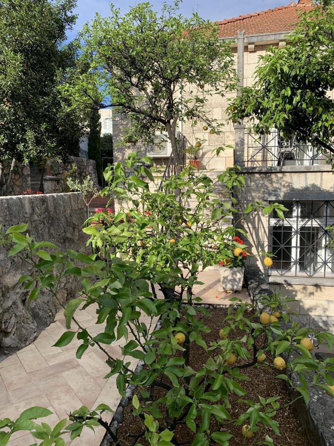 Villa Arancia Dubrovnik Ngoại thất bức ảnh